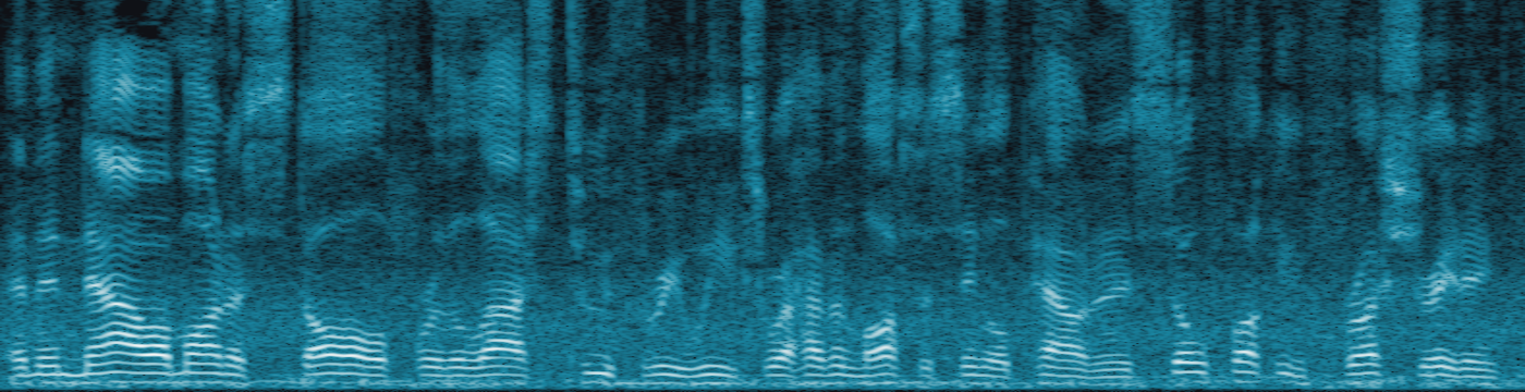 Spectrogram of the raw audio, full of street noise
